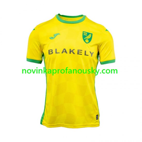 Norwich City Dres Domácí Fotbalové Dresy pro Muže 2024-2025 Krátký rukáv
