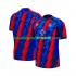 Crystal Palace Dres Alternativní Fotbalové Dresy pro Muže 2026-2027 Krátký rukáv