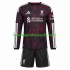 Liverpool Dres Alternativní Fotbalové Dresy pro Děti 2026-2027 Dlouhý rukáv