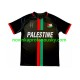 Club Deportivo Palestino Dres Center Stripre Domácí Fotbalové Dresy pro Muže 2024-2025 Krátký rukáv