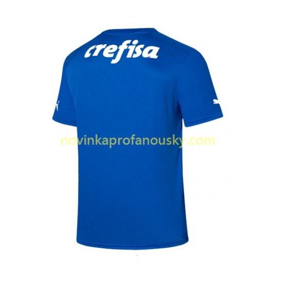 Palmeiras Dres Brankářské Domácí Fotbalové Dresy pro Muže 2023-2024 Krátký rukáv