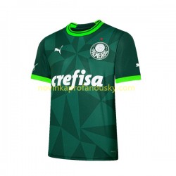 Palmeiras Dres Domácí Fotbalové Dresy pro Muže 2023-2024 Krátký rukáv