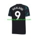Manchester City Dres Erling Haaland 9 Alternativní Fotbalové Dresy pro Muže 2023-2024 Krátký rukáv