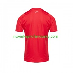 Maroko Dres Domácí Fotbalové Dresy pro Muže 2023 Krátký rukáv