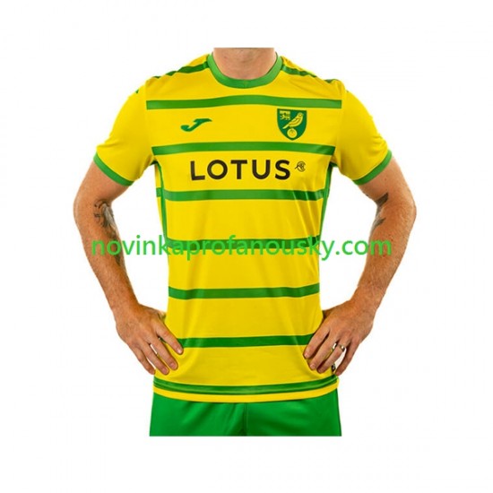 Norwich City Dres Domácí Fotbalové Dresy pro Muže 2023-2024 Krátký rukáv