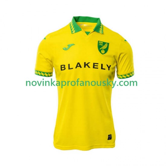 Norwich City Dres Domácí Fotbalové Dresy pro Muže 2025-2026 Krátký rukáv