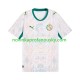 Senegal Dres Domácí Fotbalové Dresy pro Muže 2026 2027 Krátký rukáv