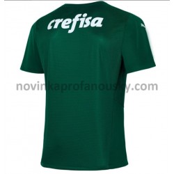 Palmeiras Dres Domácí Fotbalové Dresy pro Muže 2021-2022