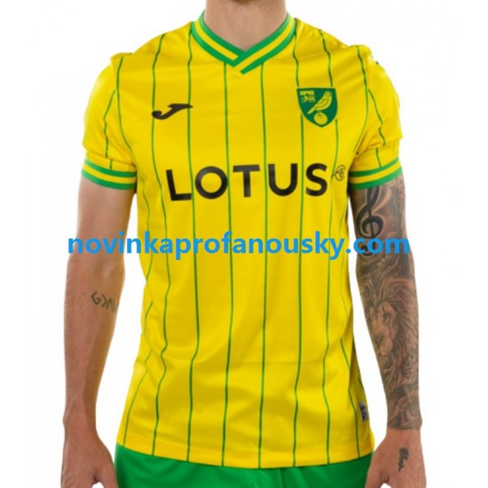 Norwich City Dres Domácí Fotbalové Dresy pro Muže 2022-2023 Krátký rukáv