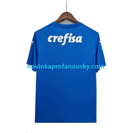 Palmeiras Dres Brankářské Venkovní Fotbalové Dresy pro Muže 2022-2023 Krátký rukáv
