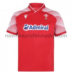 Velšská ragbyová reprezentace Dresy 7S Domácí Fotbalové Dresy pro Muže 2020-2021